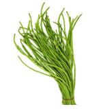 Vegetable 19