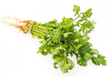 Vegetable 7